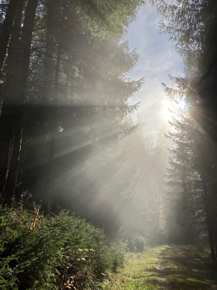 Foto_Coaching_Beitrag_RE