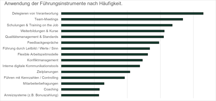 Führungsinstrumente2