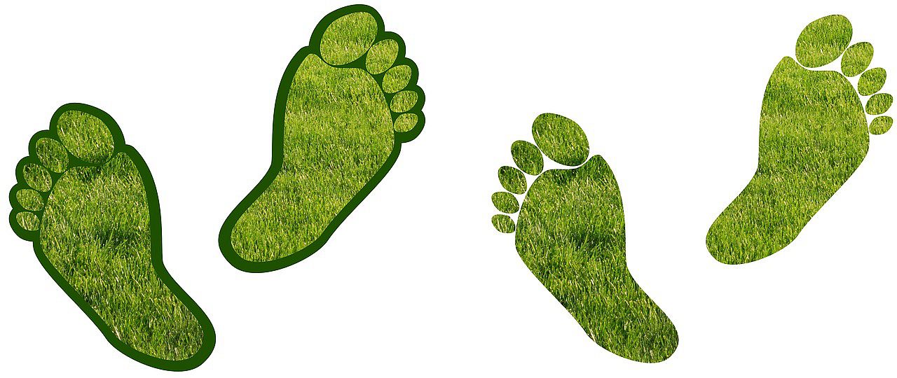 footprint pixabay